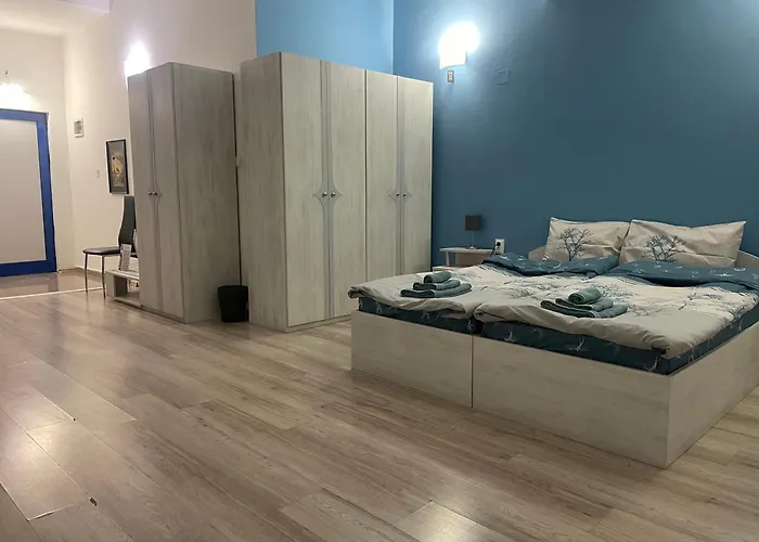 за гости малчика 普罗夫迪夫