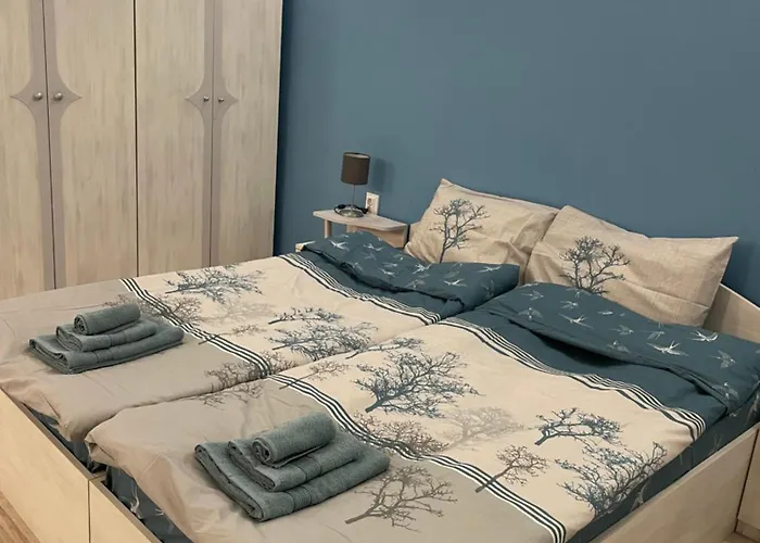 за гости малчика *